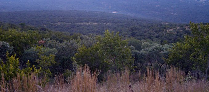 Boshiga Mountains, Ga-Molepo, ancestral home of the Molekwa Community
